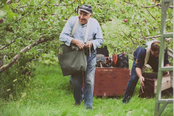 Moving on from the Haverkamps' orchard